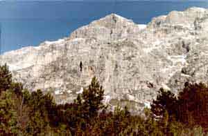 f015_c_m.jpg (38340 byte)