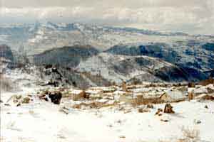 f017_c_m.jpg (31871 byte)