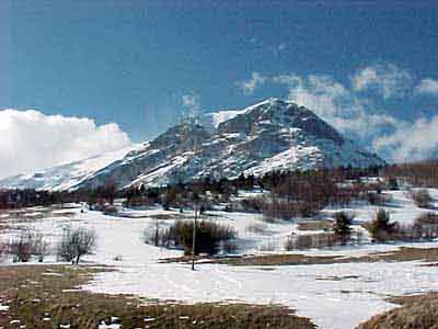 m003_r_l.jpg (47446 byte)