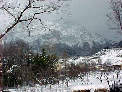 m004_r_l.jpg (54991 byte)